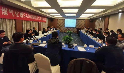 高灰熔點劣質(zhì)煤高效氣化關(guān)鍵技術(shù)開發(fā)及應(yīng)用成果通過評審